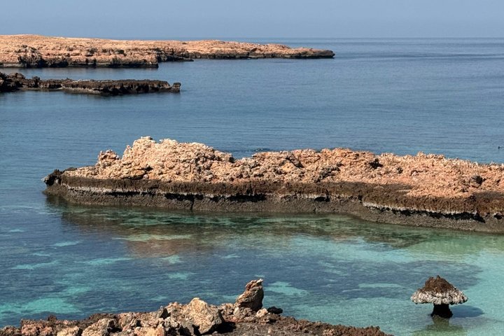 Snorkeling in Daymaniat Island