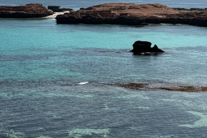 Snorkeling in Daymaniat Island