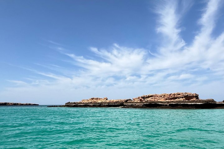Snorkeling in Daymaniat Island
