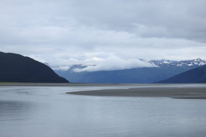 Seward Cruise Transfer with Wildlife & Scenic Tour to Anchorage