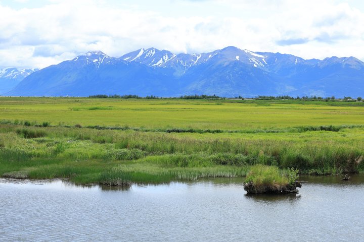 Seward Cruise Transfer with Wildlife & Scenic Tour to Anchorage