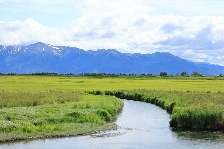 Seward Cruise Transfer with Wildlife & Scenic Tour to Anchorage