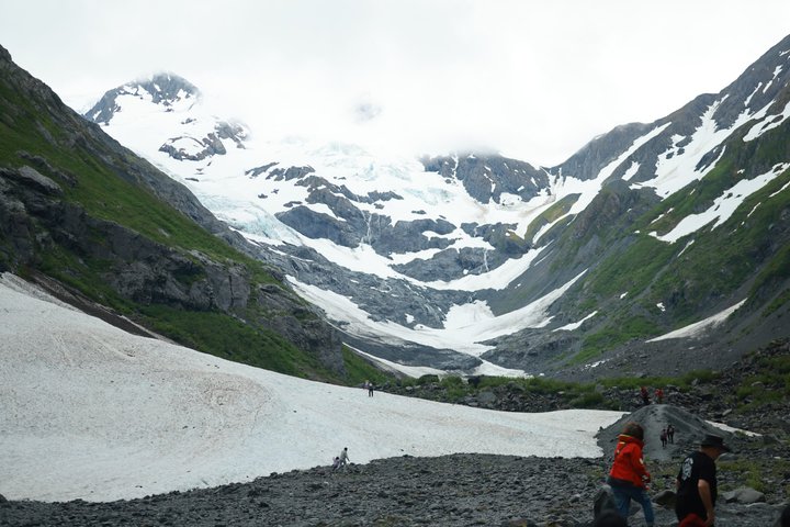 Seward Cruise Transfer with Wildlife & Scenic Tour to Anchorage
