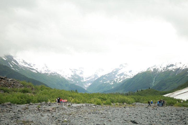 Seward Cruise Transfer with Wildlife & Scenic Tour to Anchorage