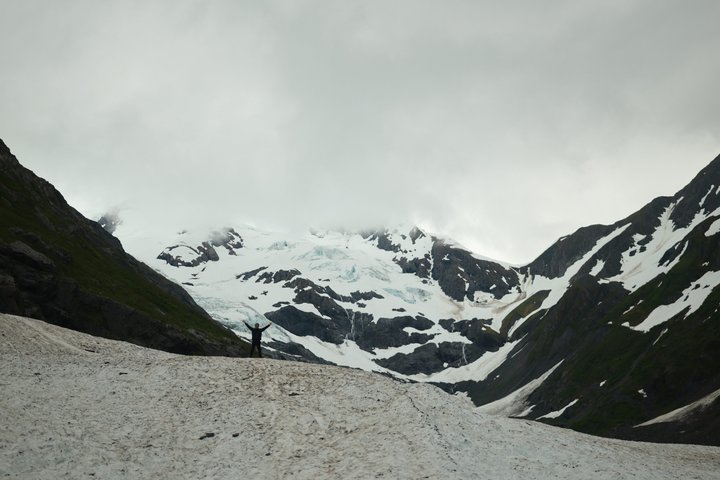 Seward Cruise Transfer with Wildlife & Scenic Tour to Anchorage