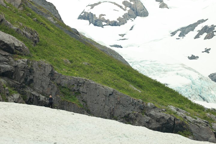 Seward Cruise Transfer with Wildlife & Scenic Tour to Anchorage