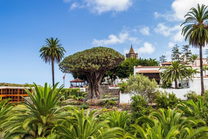 Private excursion to Masca Garachico and Icod the best of Tenerife