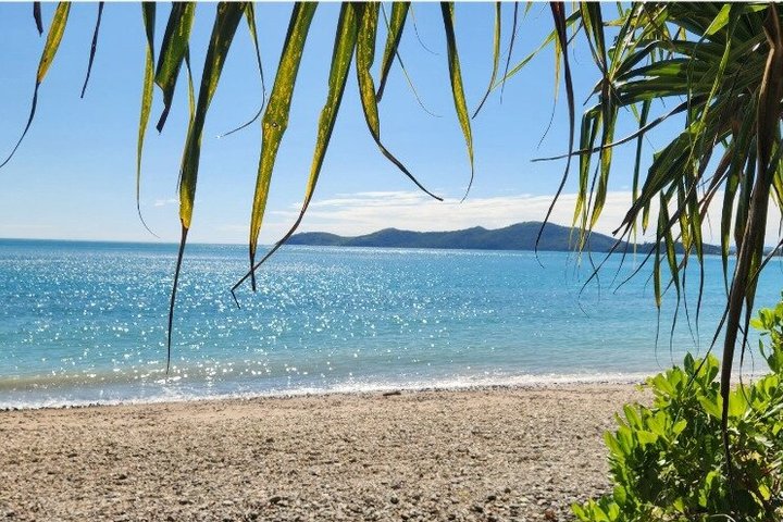 Rainforest to Reef Guided Bushwalk Adventure Airlie Beach