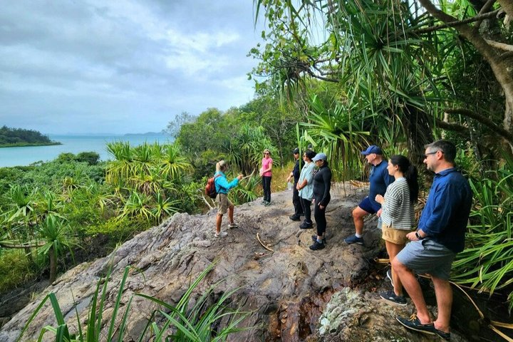Rainforest to Reef Guided Bushwalk Adventure Airlie Beach