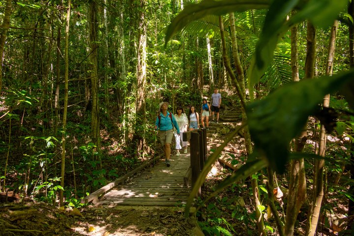Rainforest to Reef Guided Bushwalk Adventure Airlie Beach