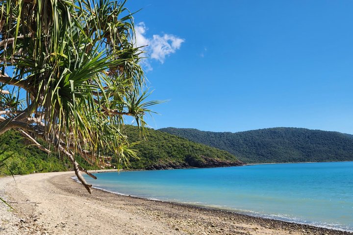 Rainforest to Reef Guided Bushwalk Adventure Airlie Beach