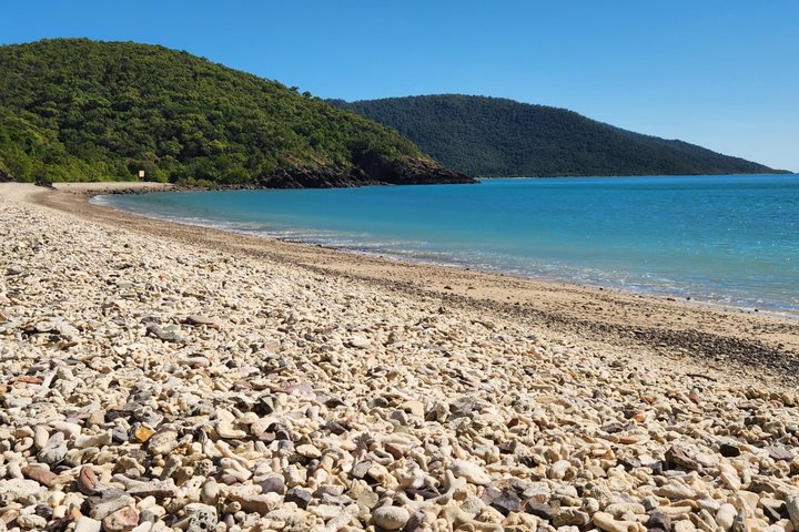Rainforest to Reef Guided Bushwalk Adventure Airlie Beach