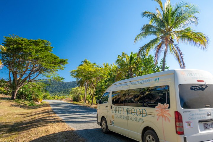 Rainforest to Reef Guided Bushwalk Adventure Airlie Beach