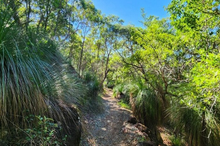 Rainforest to Reef Guided Bushwalk Adventure Airlie Beach