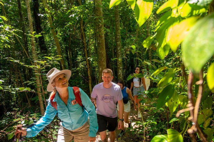 Rainforest to Reef Guided Bushwalk Adventure Airlie Beach