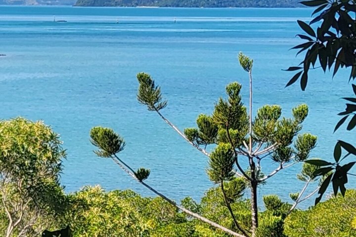 Rainforest to Reef Guided Bushwalk Adventure Airlie Beach