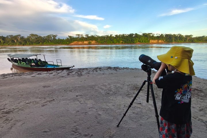 Parrots in Tambopata and search for sloths