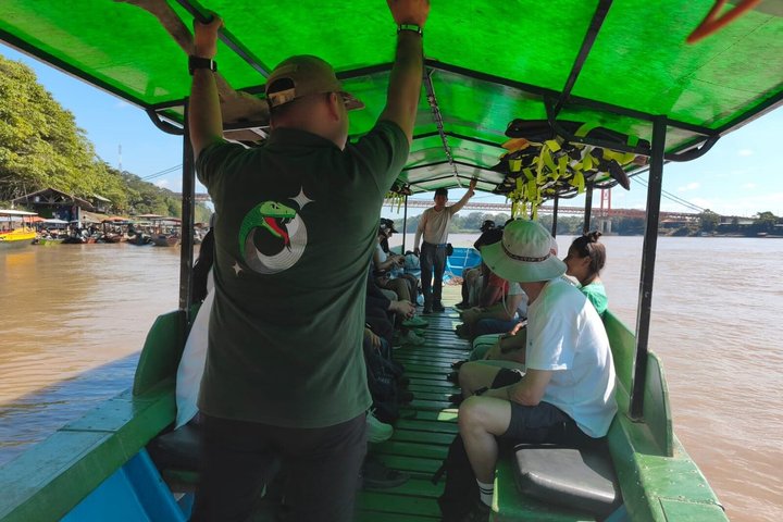 Parrots in Tambopata and search for sloths