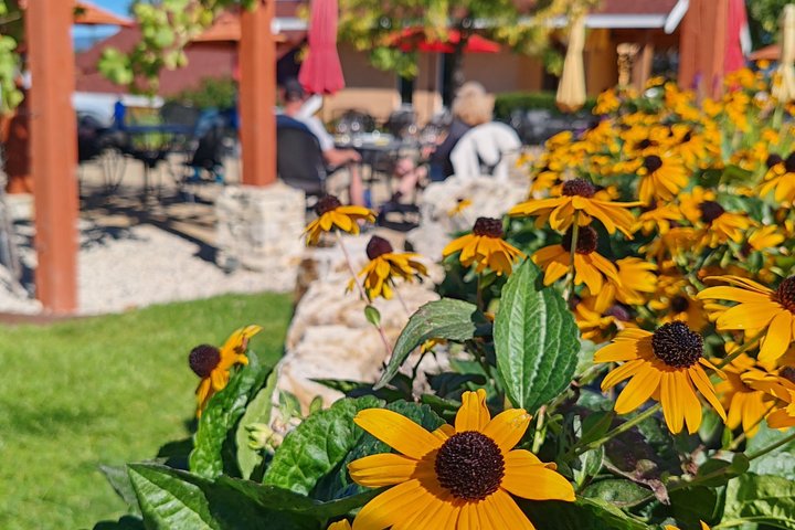 Kelowna Wine Tour by E-Bike with Tastings, Lunch & Okanagan Views