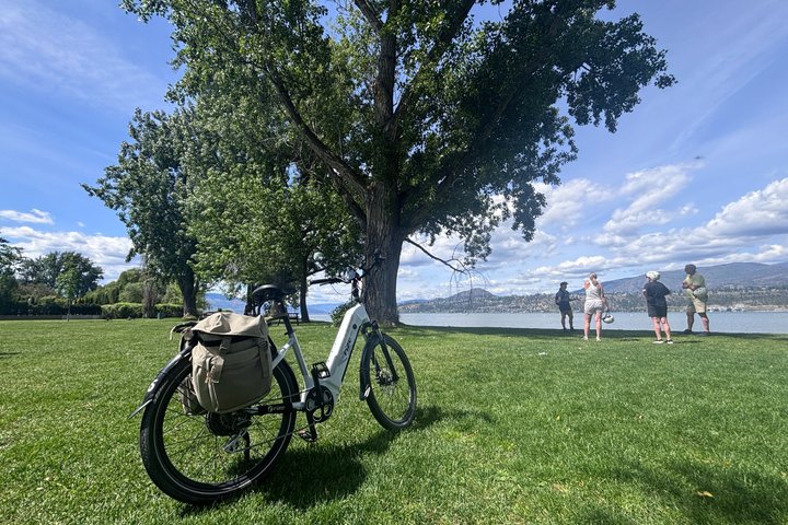 Kelowna Wine Tour by E-Bike with Tastings, Lunch & Okanagan Views