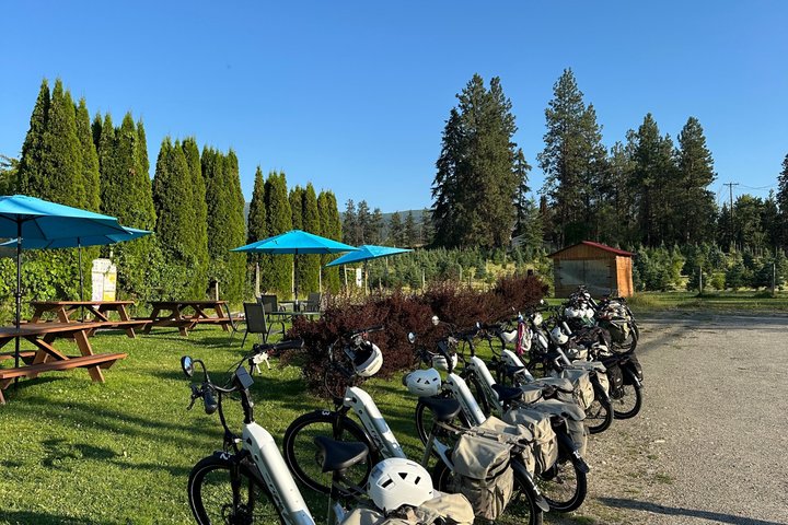 Kelowna Wine Tour by E-Bike with Tastings, Lunch & Okanagan Views