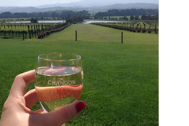 Ultimate Yarra Valley Chandon, Soumah & De Bortoli Cheese & Wine