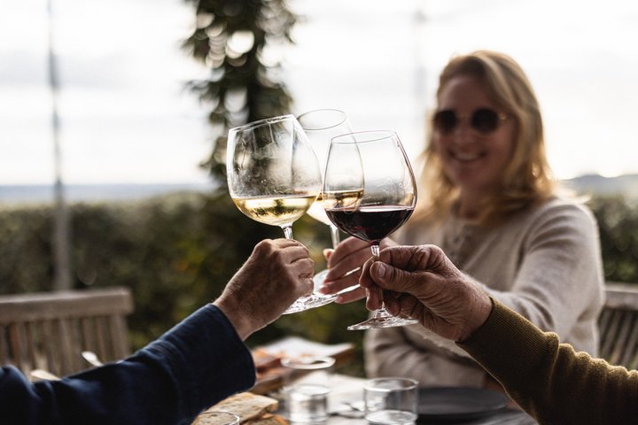Waiheke Island Half Day Scenic Wine and Lunch