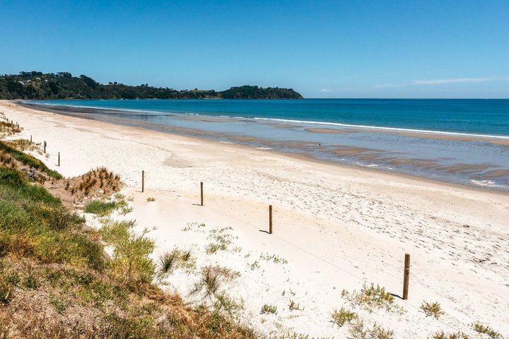 Waiheke Island Half Day Scenic Wine and Lunch