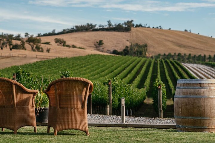 Ultimate Yarra Valley Chandon, Soumah & De Bortoli Cheese & Wine