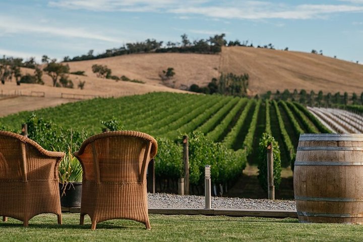 Ultimate Yarra Valley Chandon, Soumah & De Bortoli Cheese & Wine