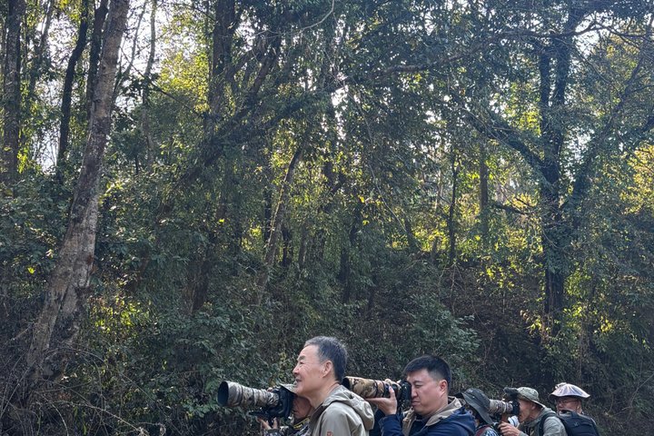 Full Day walking safari at Bardia National Park With LUNCH &GUIDE