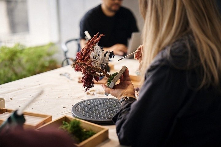 Create Your Own Japanese Bonsai Workshop in Chiba