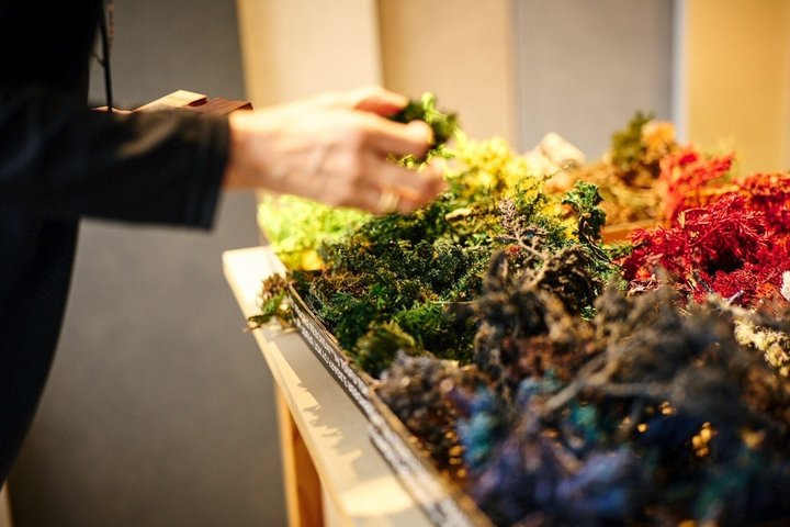 Create Your Own Japanese Bonsai Workshop in Chiba