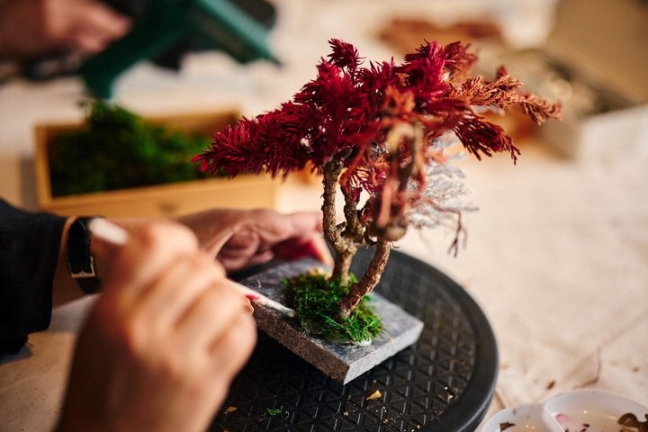 Create Your Own Japanese Bonsai Workshop in Chiba