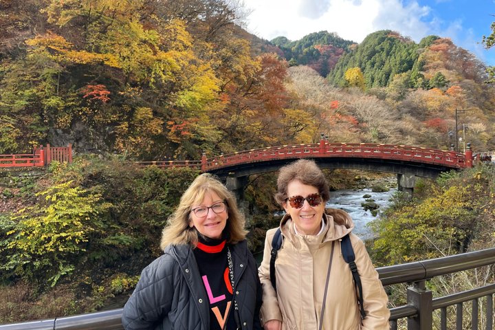 Nikko Half-Day Private Car Tour: English Driver, No Guide