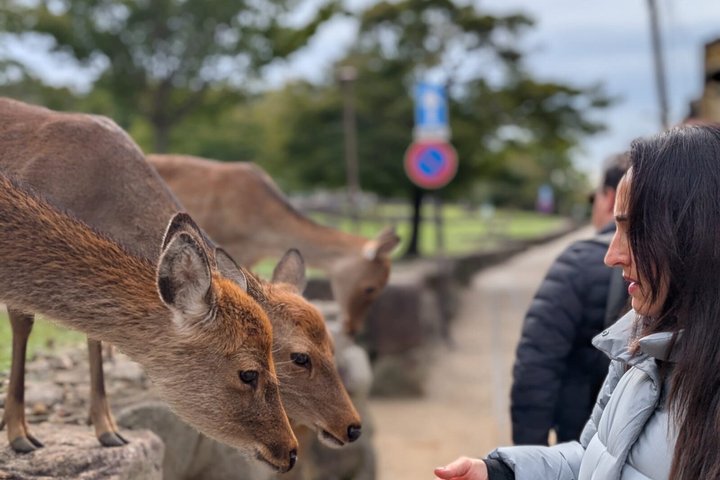 Nara Customized Private Tour in 1 Day with Licensed Guide