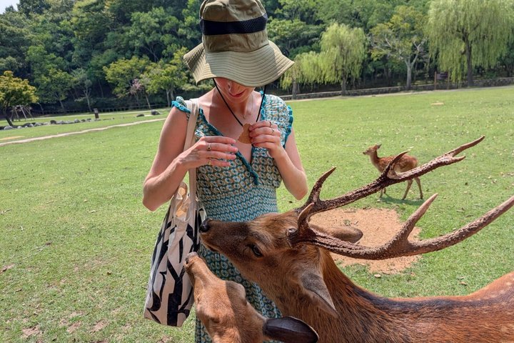 Nara Customized Private Tour in 1 Day with Licensed Guide