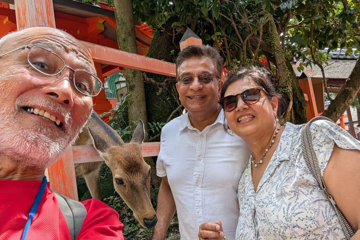 Nara Customized Private Tour in 1 Day with Licensed Guide
