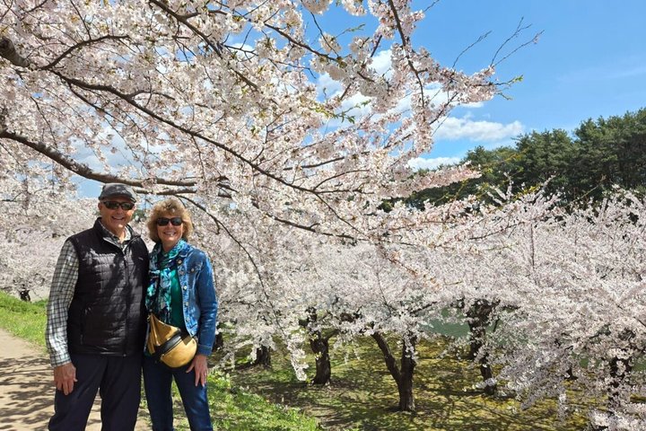 Hakodate Customized Private Tour in 1 Day with Licensed Guide