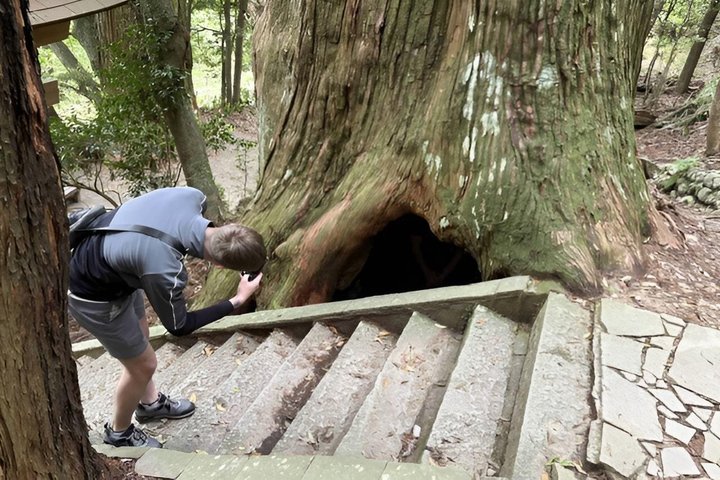 Kumano Kodo Pilgrimage in 1 Day Hike with Licensed Guide