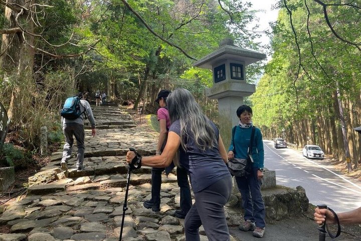 Kumano Kodo Pilgrimage in 1 Day Hike with Licensed Guide