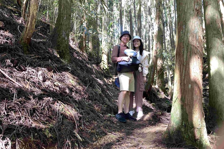 Kumano Kodo Pilgrimage in 1 Day Hike with Licensed Guide