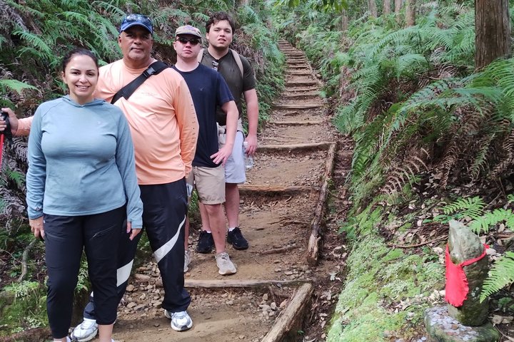 Kumano Kodo Pilgrimage in 1 Day Hike with Licensed Guide