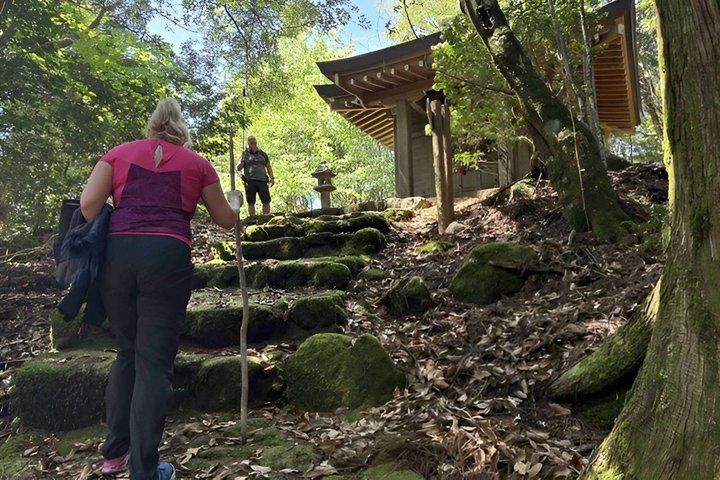 Kumano Kodo Pilgrimage in 1 Day Hike with Licensed Guide