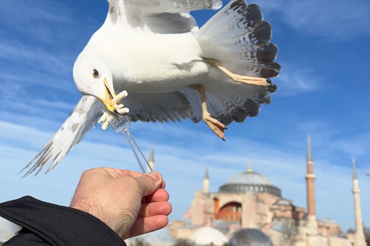 WONDERS of ISTANBUL Full Day Private Guided City Tour