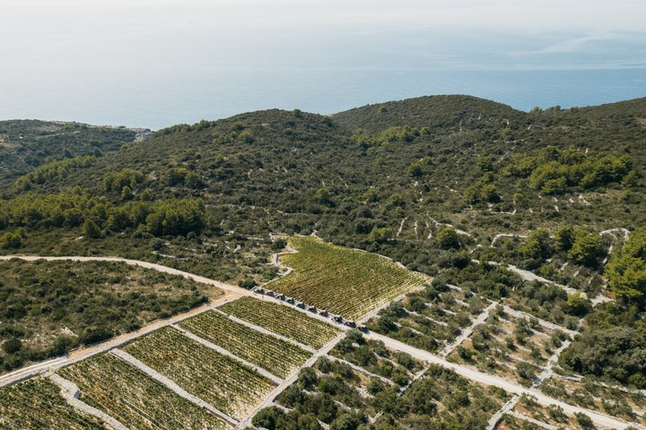 Korcula Buggy Safari Tour: Beaches, Backroads & Wine Tastings