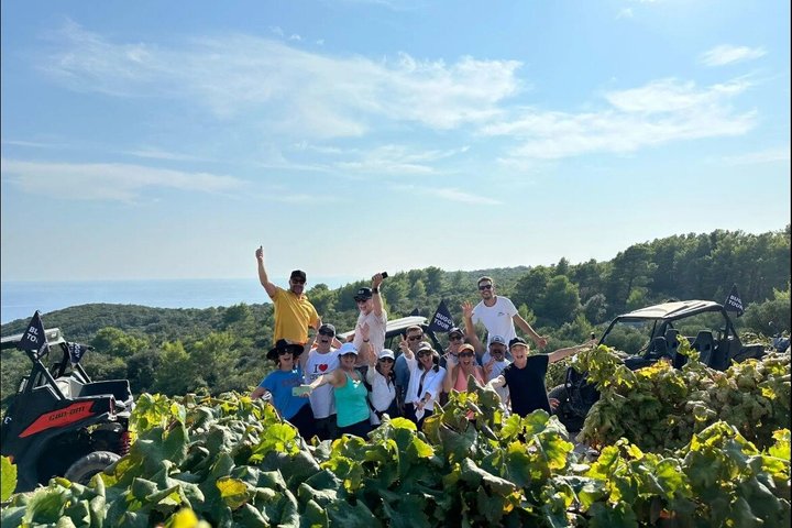 Korcula Buggy Safari Tour: Beaches, Backroads & Wine Tastings