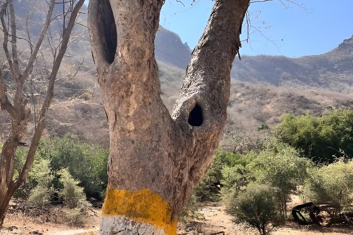 Ain Ghaidh Spring Path Hiking ( عين غيض )