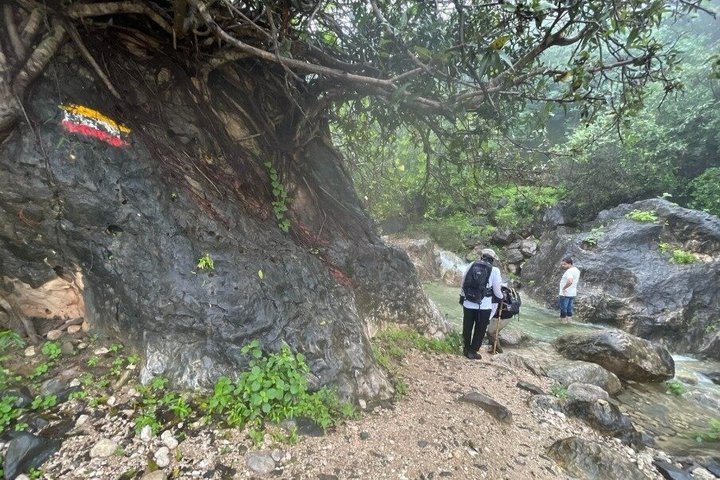Ain Ghaidh Spring Path Hiking ( عين غيض )