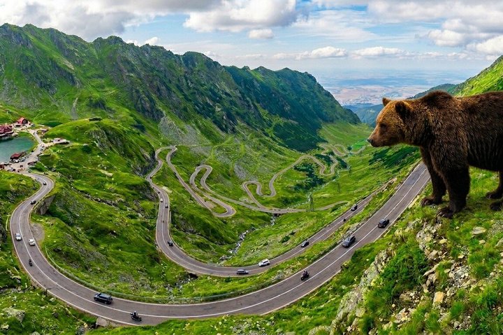 Top Gear Road, Small-group max 7 pax with Pick-up, Transfăgărăşan